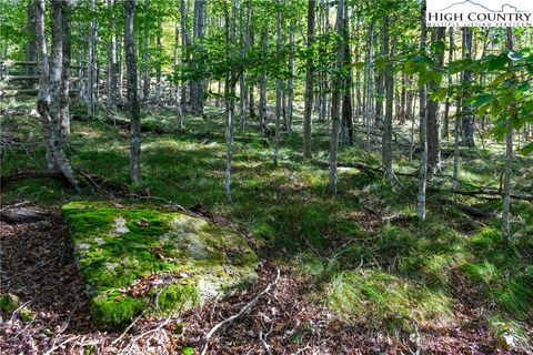 Photo of 123 Briarwood Lane, Beech Mountain, NC 28604 (MLS # 258547)