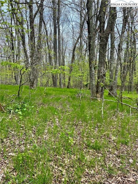 Photo of TBD Junaluska Road, Boone, NC 28607 (MLS # 255615)