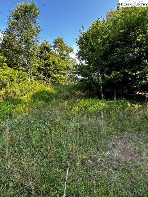 Photo of TBD Deer Meadow Lane, Boone, NC 28607 (MLS # 245109)