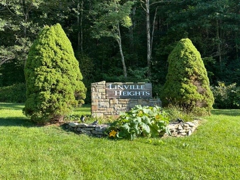 Vacant Land For Sale - TBD Linwood Lane<br/> Avery County, Newland, NC 28657