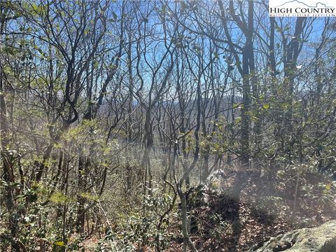 Photo of TBD Off Little Laurel Road, Boone, NC 28607 (MLS # 243990)