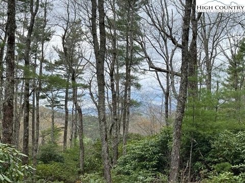 Photo of TBD Old Hampton Road, Boone, NC 28607 (MLS # 242861)