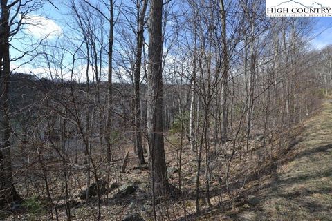 Vacant Land For Sale - LOT 116 Lauren Lane<br/> Ashe County, West Jefferson, NC 28694