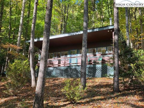 Photo of 4091 Big Ivy Road, Purlear, NC 28665 (MLS # 258663)