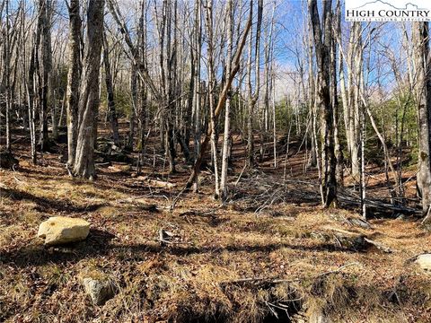 Photo of 135 Lakeledge Circle Cir, Beech Mountain, NC 28604 (MLS # 259517)