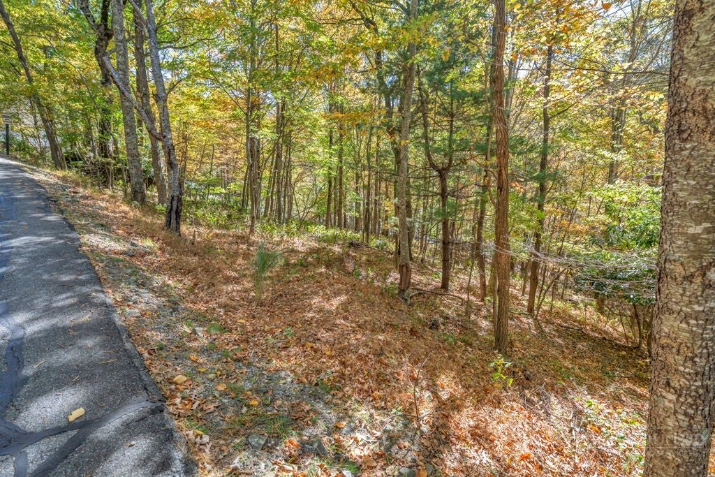 Lot 4 Goshen Drive