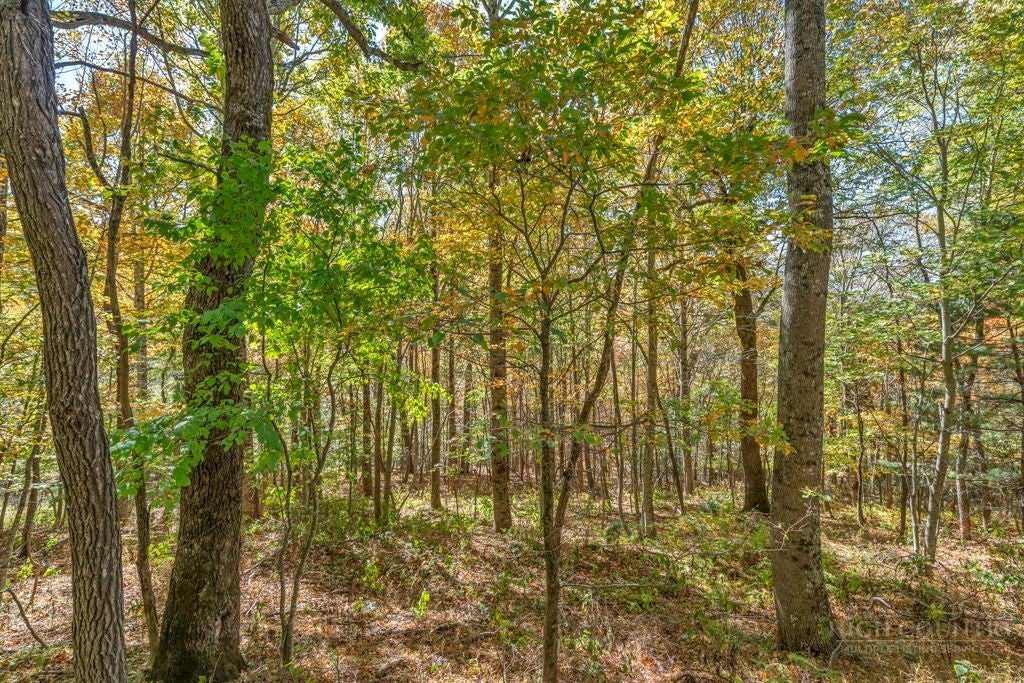 Lot 4 Goshen Drive