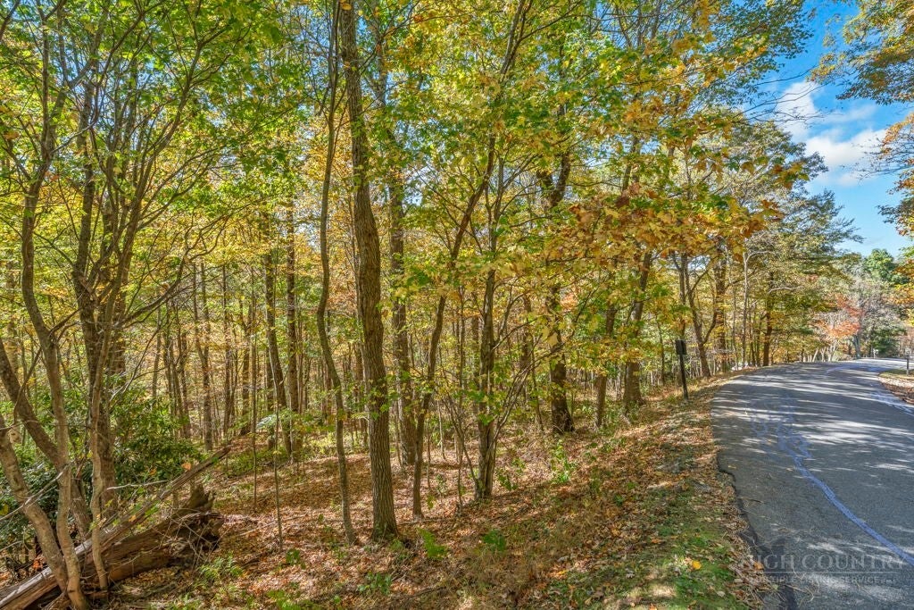 Lot 4 Goshen Drive
