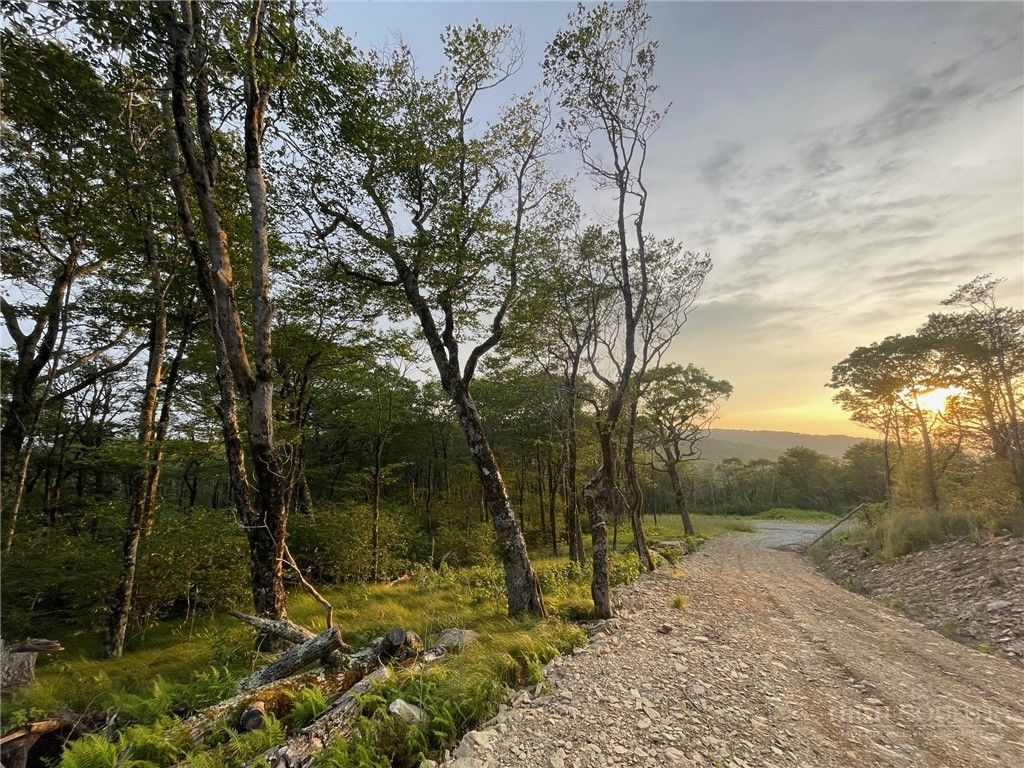 Photo of TBD Spur Lane, Beech Mountain, NC 28604 (MLS # 262006)