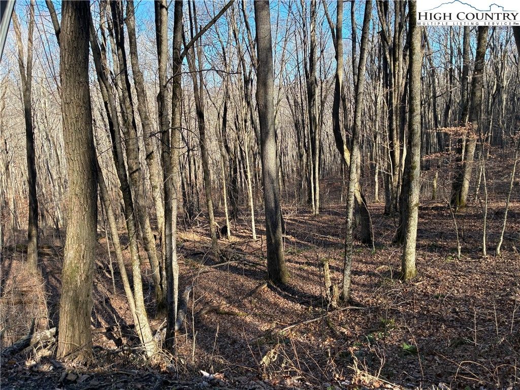 Photo of TBD Wolfsbane Trail, Todd, NC 28684 (MLS # 259307)