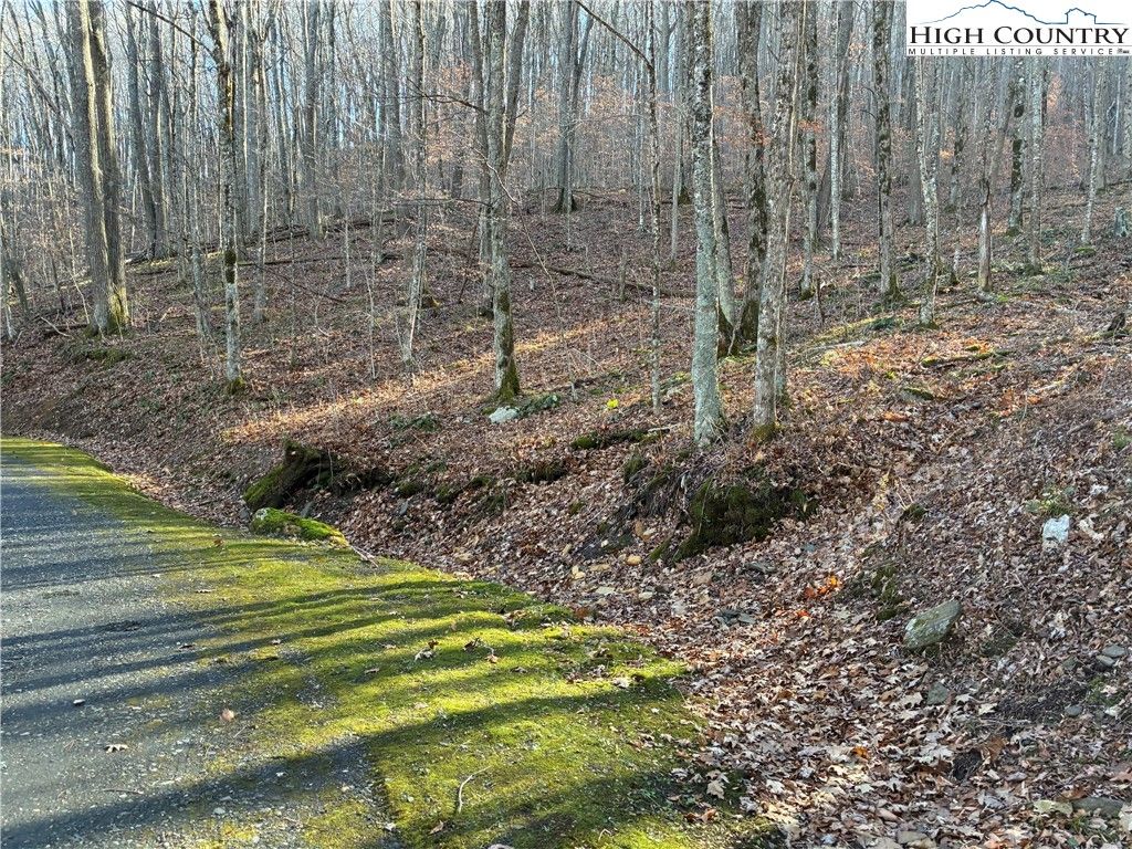 Photo of TBD Wolfsbane Trail, Todd, NC 28684 (MLS # 259307)