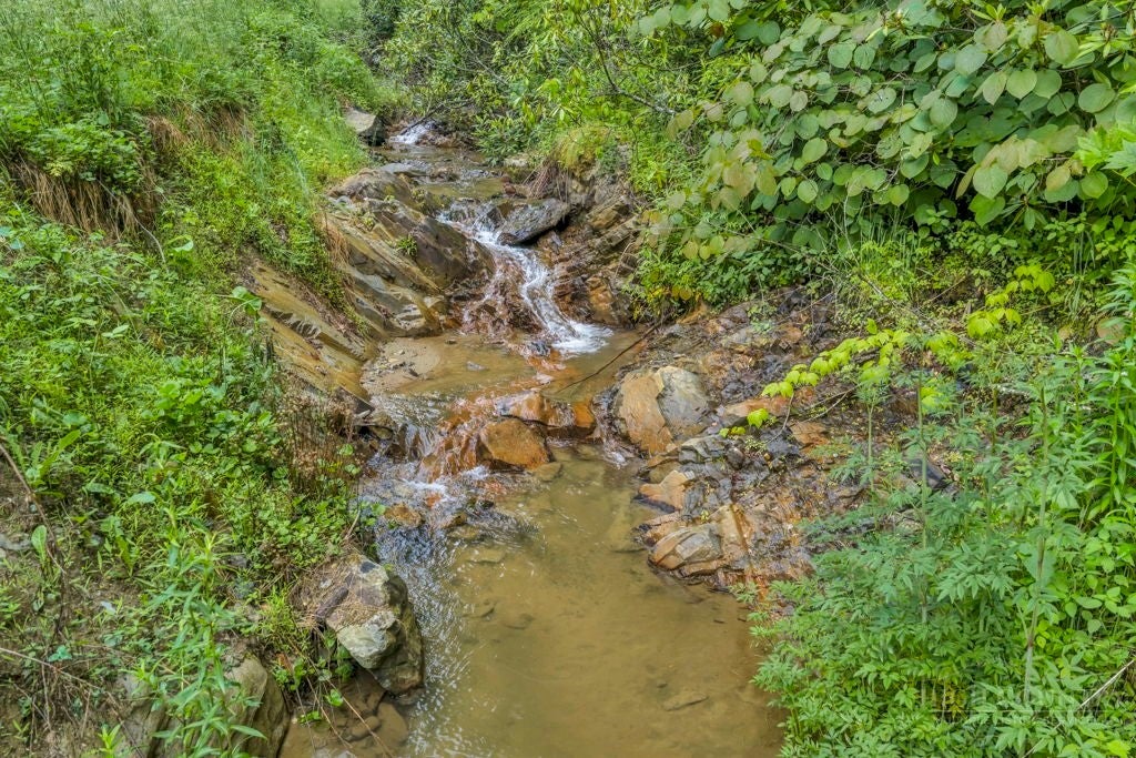 TBD Roaring Fork Road