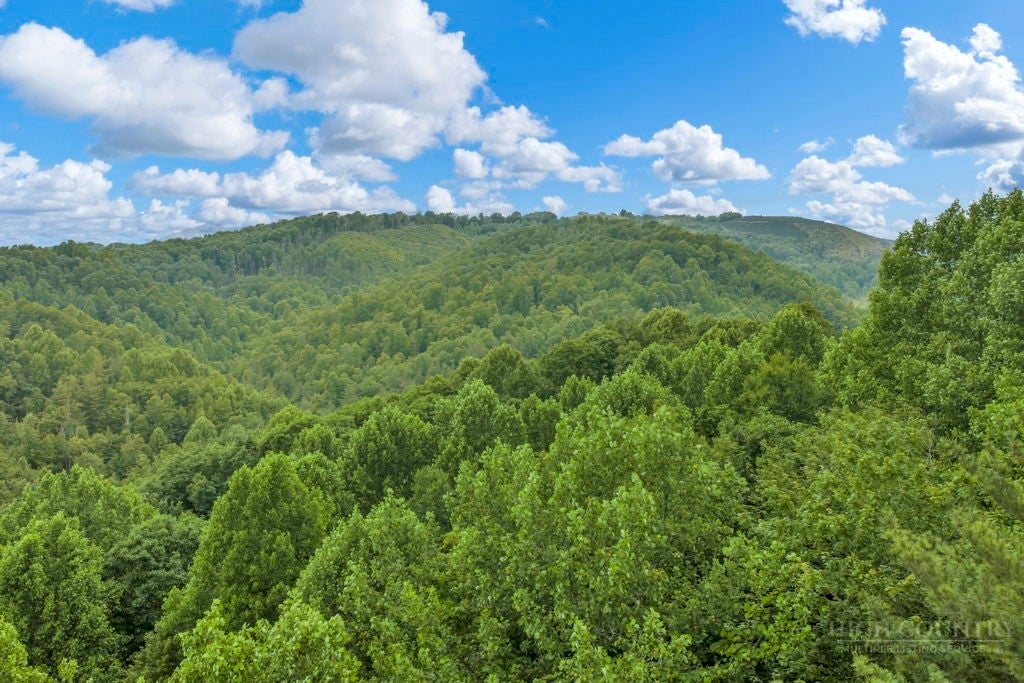 TBD Roaring Fork Road