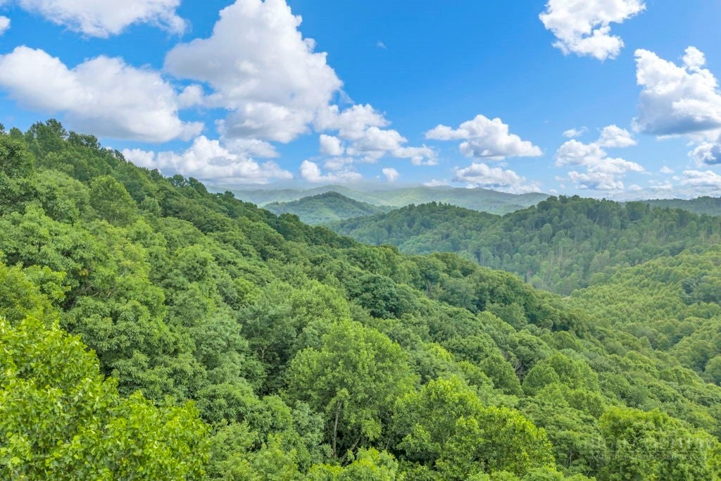 TBD Roaring Fork Road