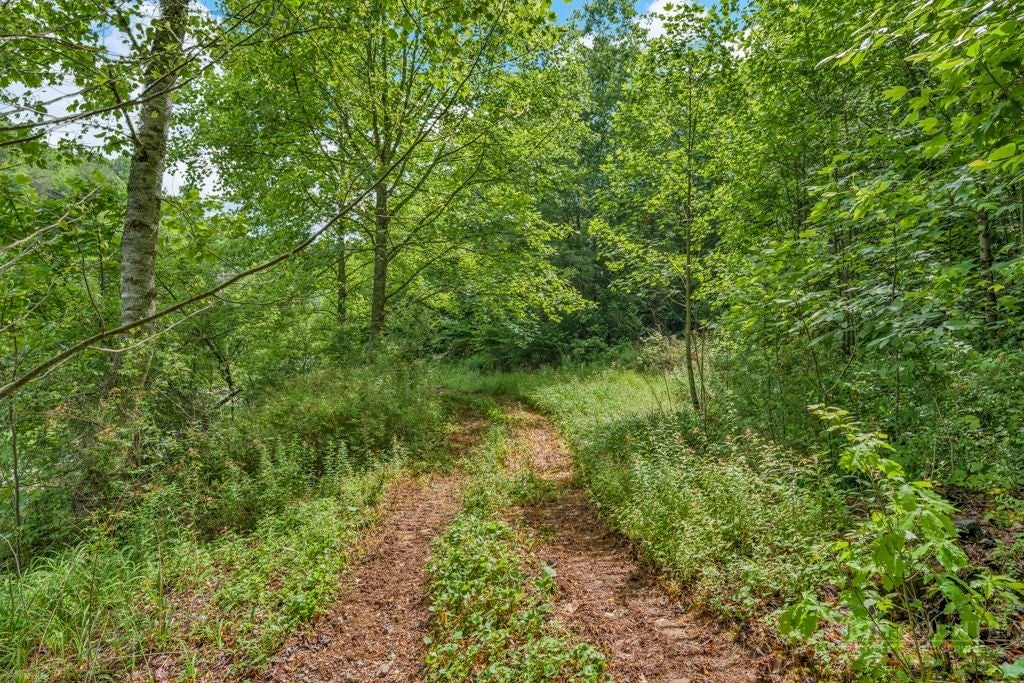 TBD Roaring Fork Road