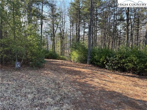 Photo of TBD Walden Lane, West Jefferson, NC 28694 (MLS # 260138)