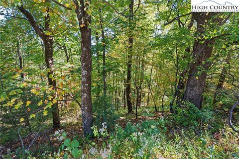 Photo of TBD Reynolds Parkway, Boone, NC 28607 (MLS # 258738) Photo of TBD Reynolds Parkway, Boone, NC 28607 (MLS # 258738)