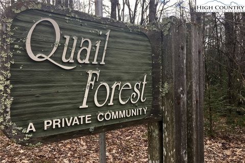 Photo of Lot 12 Oak Street, Linville, NC 28646 (MLS # 206162)