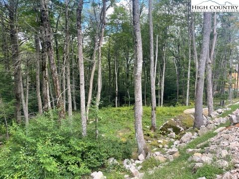 Photo of ES71 Twisted Oak Path, Banner Elk, NC 28604 (MLS # 258579)