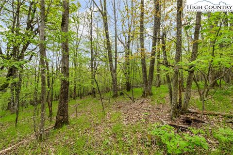 Photo of TBD Woods Road, Boone, NC 28607 (MLS # 255618)