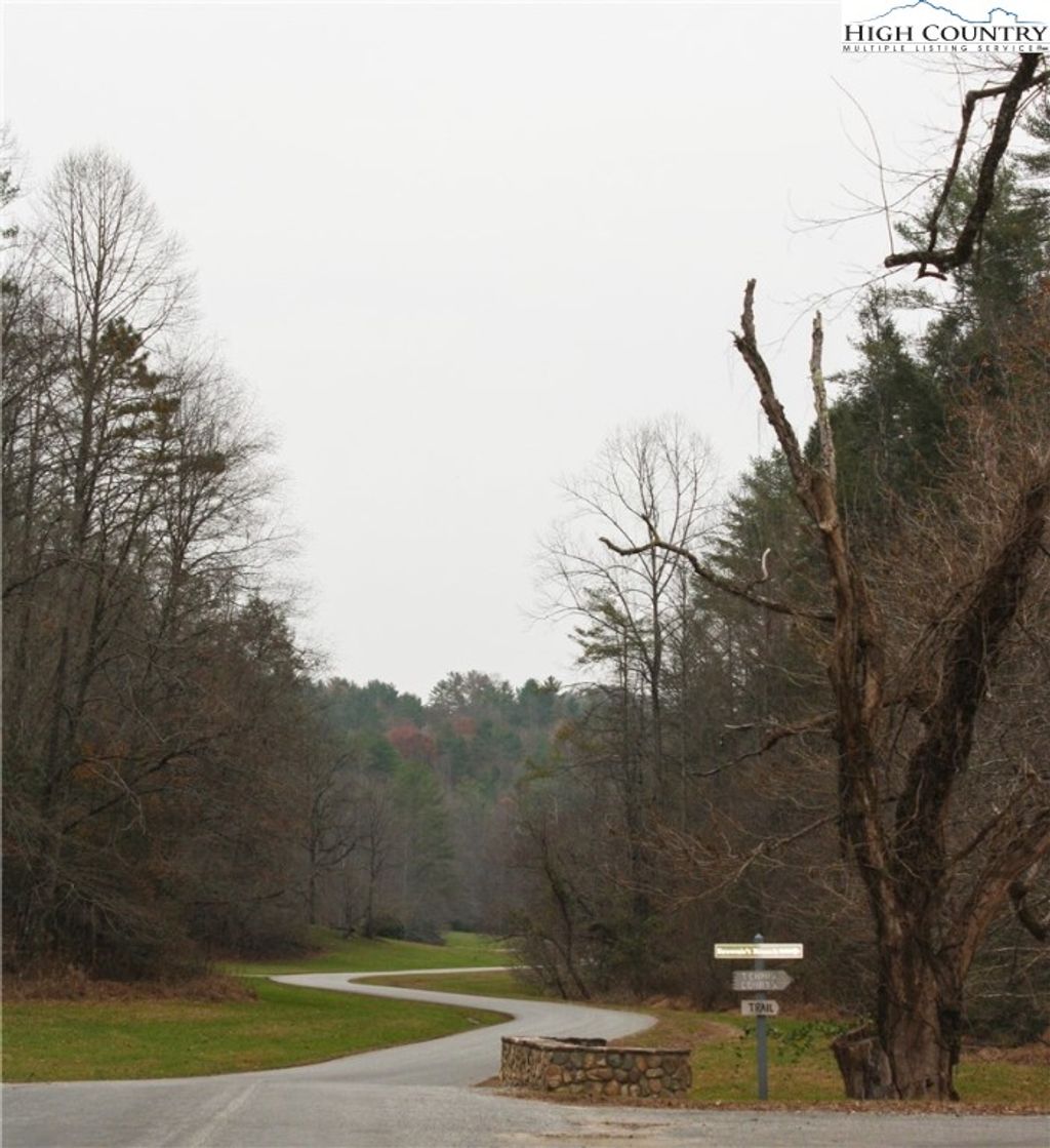 Photo of 15 LEATHERWOOD MTN P8/312 Road, Ferguson, NC 28624 (MLS # 242432)