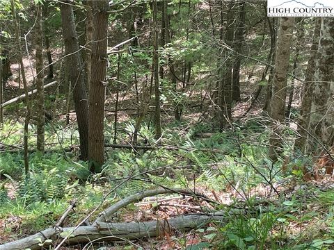 Vacant Land For Sale - LOTS 55 & 57 Meadow Crest Drive<br/> Jefferson, NC 28640