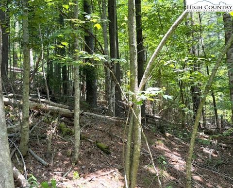 Photo of TBD Apple Canyon Drive, West Jefferson, NC 28694 (MLS # 256509)