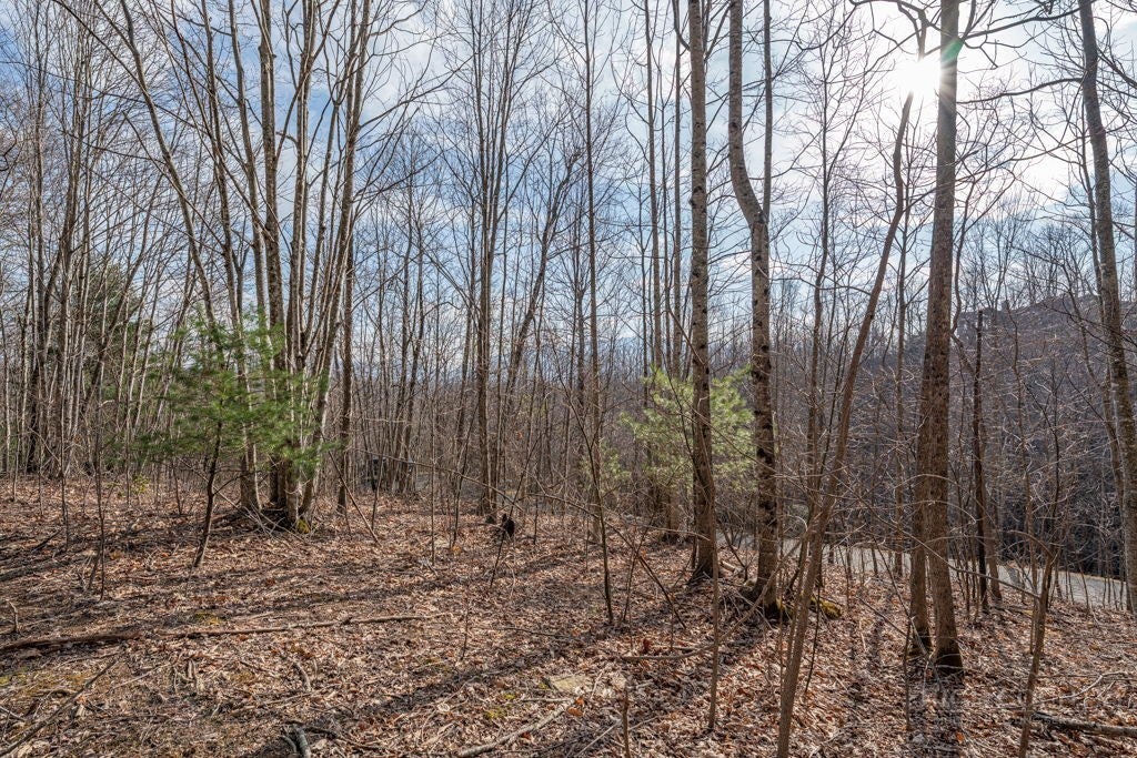 Lot 52 Pinnacle Drive