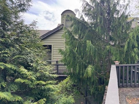 Photo of 1073 Wonderland Trail #C, Blowing Rock, NC 28605 (MLS # 261141)