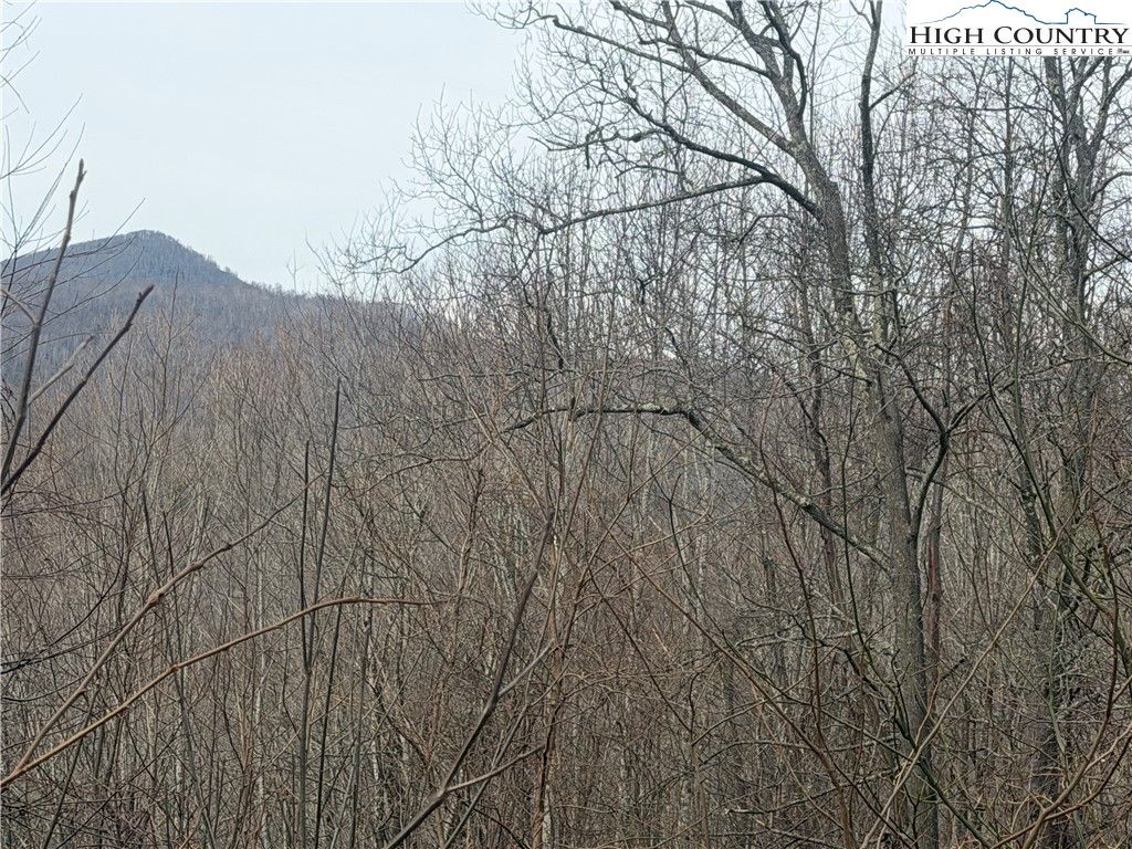 Photo of TBD Larkspur Trail, Banner Elk, NC 28604 (MLS # 260030)