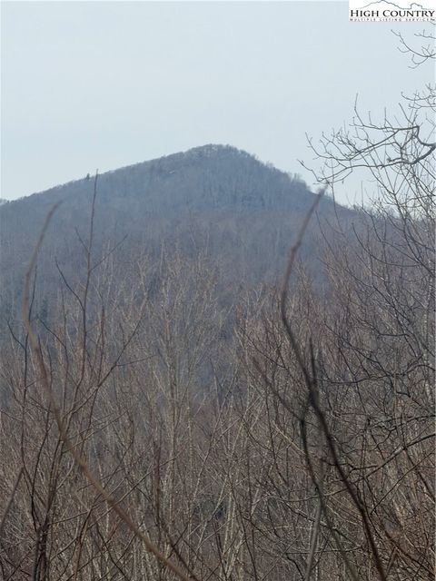 Photo of TBD Larkspur Trail, Banner Elk, NC 28604 (MLS # 260030)