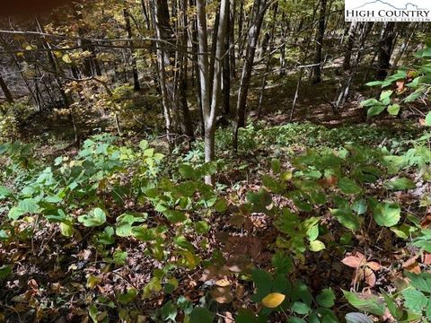 Photo of Lot 53 & 53a Poplar Trail, Creston, NC 28615 (MLS # 258682)