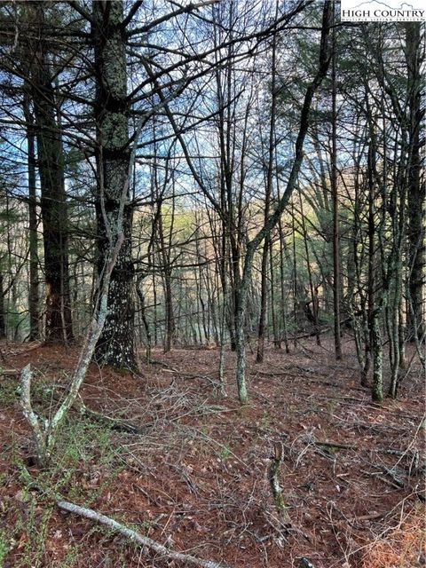Vacant Land For Sale - 13 Speckled Drive<br/> Laurel Springs, NC 28644