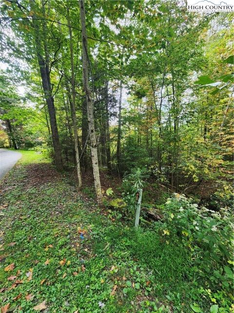 Photo of 72 Sourwood Knoll, Newland, NC 28657 (MLS # 258255)