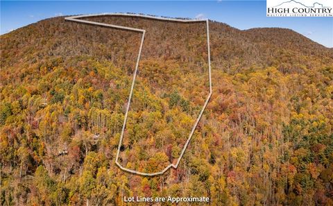 Photo of TBD Council Ward Road, Sugar Grove, NC 28679 (MLS # 258729) Photo of TBD Council Ward Road, Sugar Grove, NC 28679 (MLS # 258729)