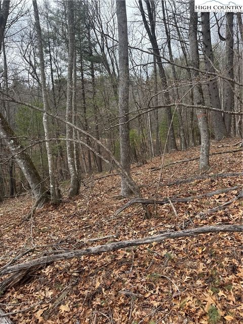 Photo of TBD THE PEAKS REGAL Drive, Laurel Springs, NC 28644 (MLS # 260261)