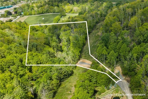 Photo of Lot 45 Silver Springs Drive, Banner Elk, NC 28604 (MLS # 264452)
