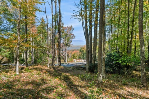 Photo of ES-97 Twisted Oak Path, Banner Elk, NC 28604 (MLS # 264771)