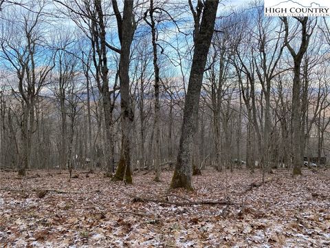 Photo of Lot 47B Running Deer Trail, Boone, NC 28607 (MLS # 248379)