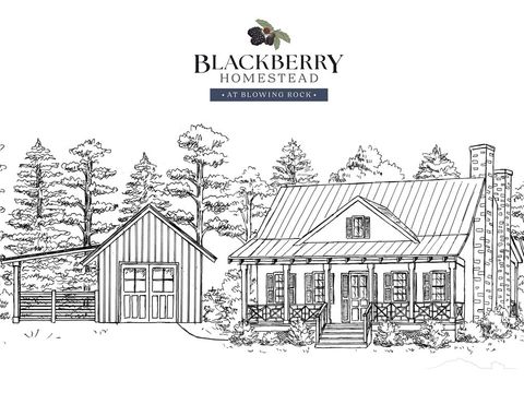 Photo of 9379 Blackberry Road, Lenoir, NC 28645 (MLS # 260965)