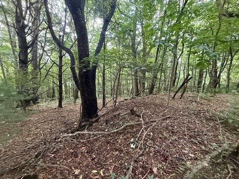 Photo of Lot 35/36 Walter Godbey Road, West Jefferson, NC 28694 (MLS # 263648)