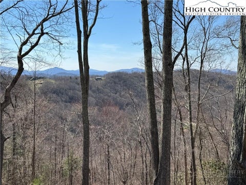Vacant Land For Sale - EC10 Eagle Crest Trail<br/> Elk Park, NC 28622