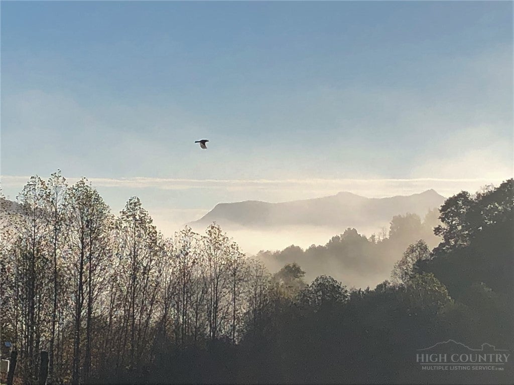 Photo of 803 W Brushy Fork Road, Creston, NC 28615 (MLS # 262572)