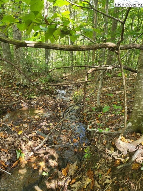 Photo for TBD Bluff Ridge Road