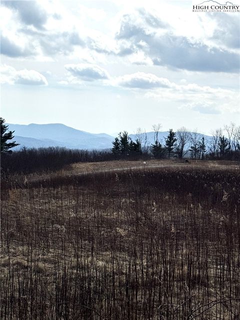 Photo of TBD Lot 52 Crestwood Circle, Linville, NC 28646 (MLS # 260253)