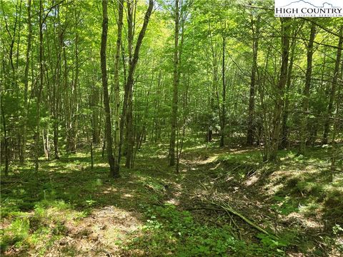 Photo of Lot 50 Deer Spring Ln/White Tail Trail, West Jefferson, NC 28694 (MLS # 258639)