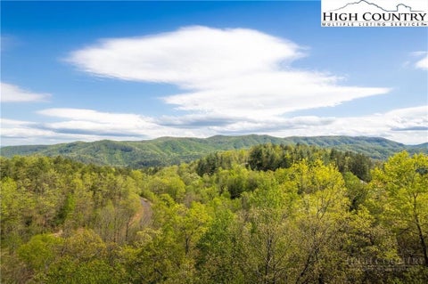 Photo of ER9 Lady's Mantle Lane, Ferguson, NC 28624 (MLS # 264527)