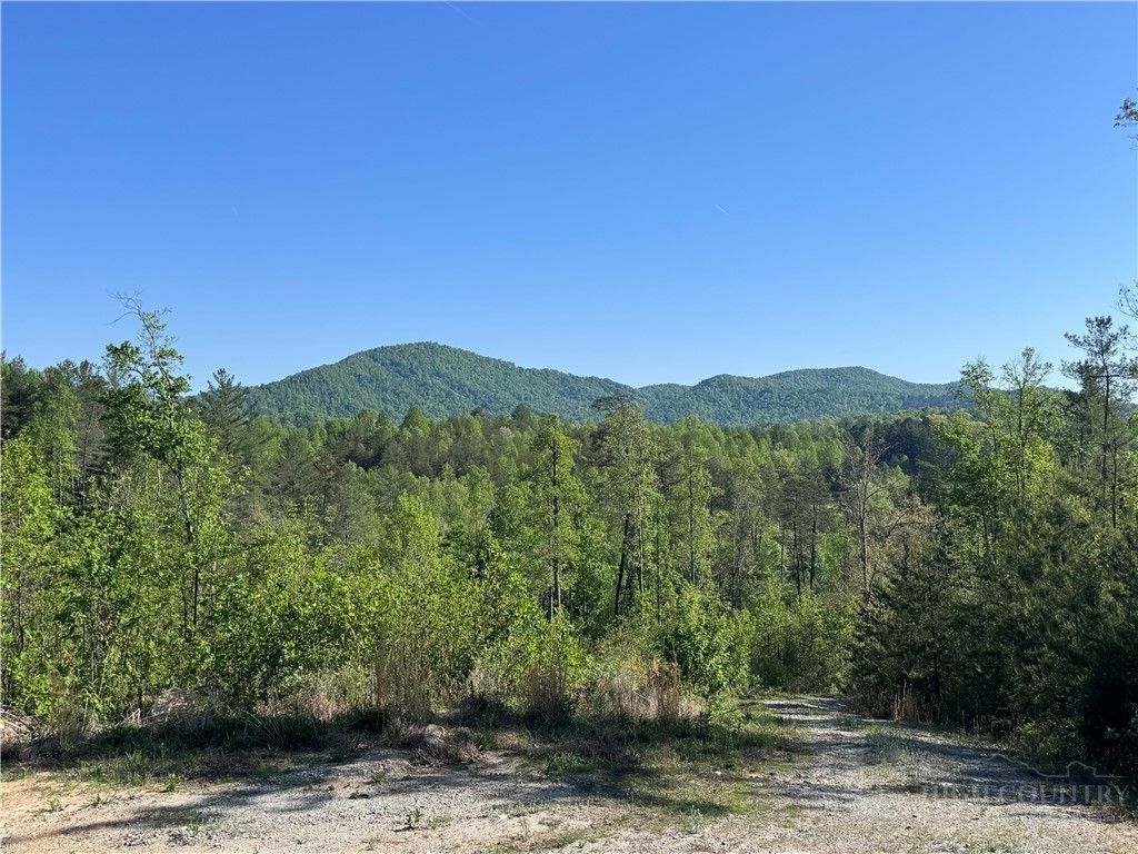 Photo of 4229 Grandin Road, Lenoir, NC 28645 (MLS # 262119)