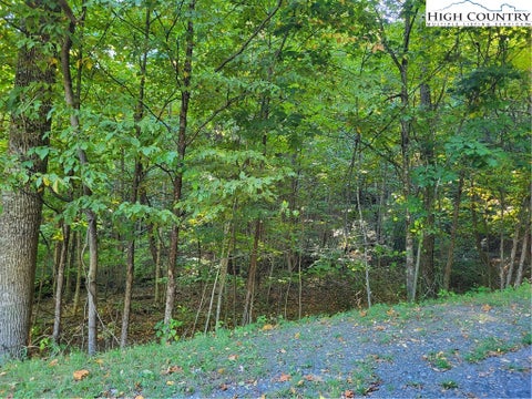 Photo for TBD Stony Branch Road