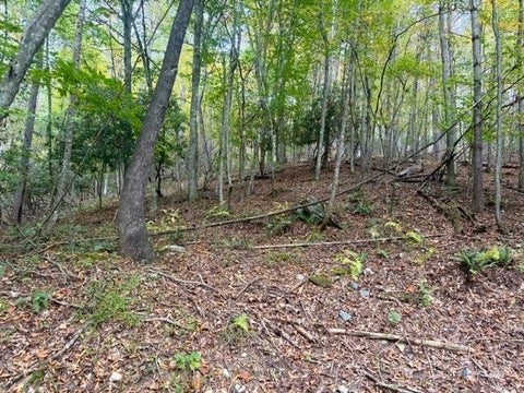 Photo of TBD E Weaver Ford Road, Grassy Creek, NC 28631 (MLS # 264825)
